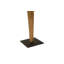 Vested Male Statue-48423099