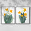 «Daffodil Bunch I», reproduction encadrée de qualité supérieure - prête à être accrochée - aucun clou requis - aucun clou requis-107998310-107998312