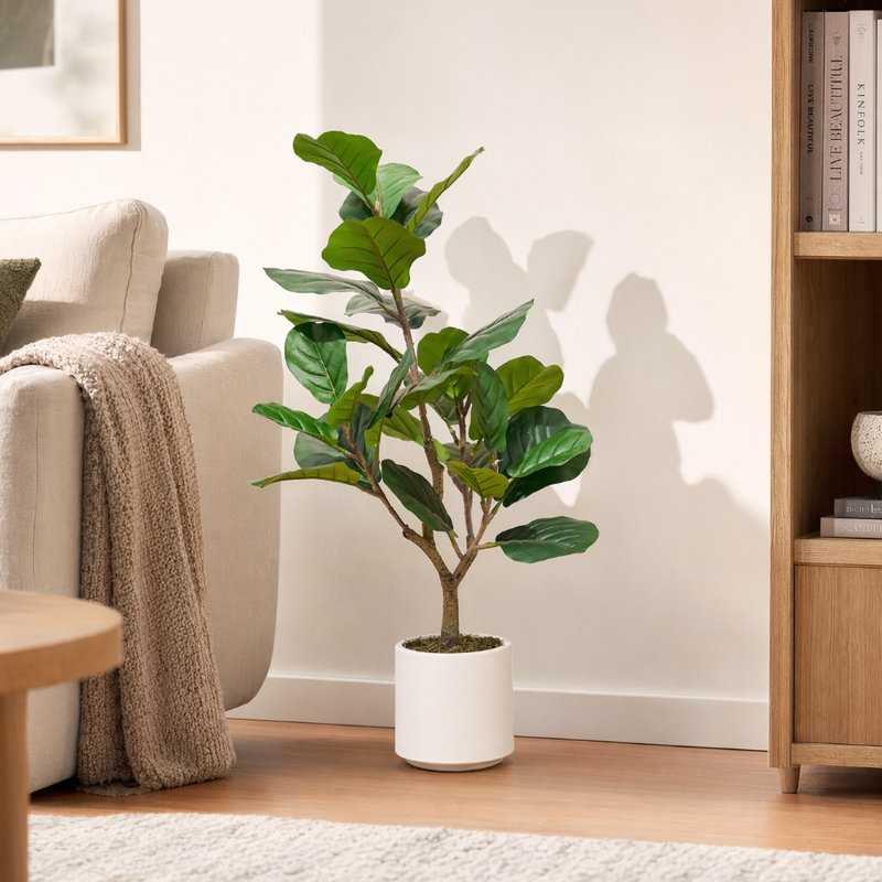 Figuier artificiel 3 pi 3 pi dans un pot décoratif blanc, plante verte, 1