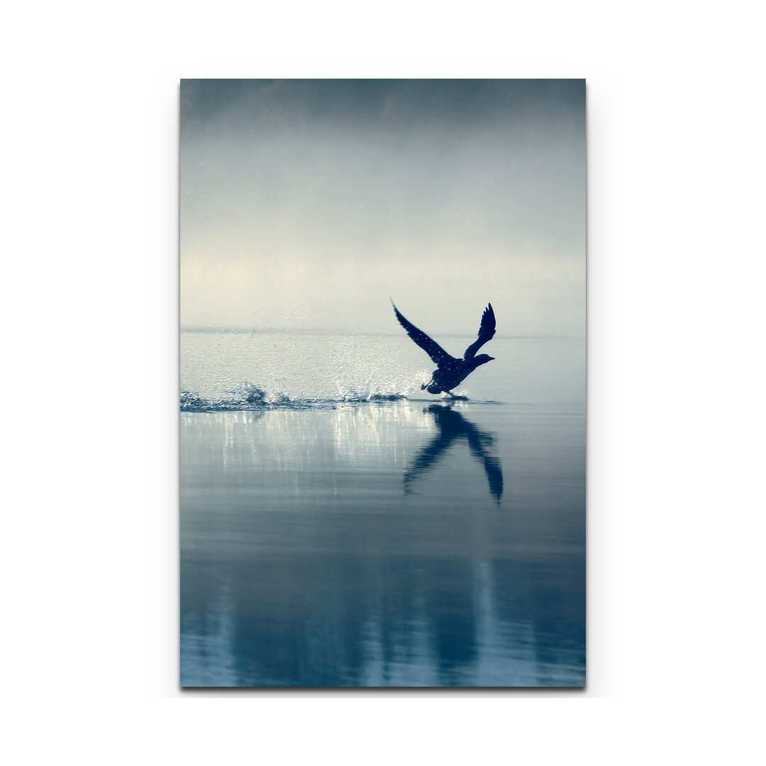 Leinwandbild Vogel und Wasser