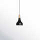 Ginger Single Light Steel Dimmable Pendant