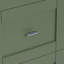 Anvay 36 in. Single Sink Freestanding Bath Vanity in Forest Green with White Carrara Quartz Top-1252753942