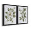 «Magnolia Morning I», toile encadrée de qualité supérieure - prête à être accrochée-1603279574-1603279573