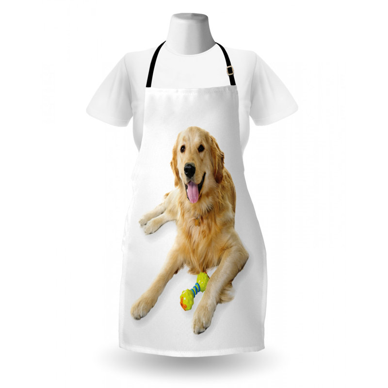 Tablier de golden retriever
