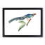 Chinese Cuckoo by George Shaw - Picture Frame Painting Print-55621282-55621283