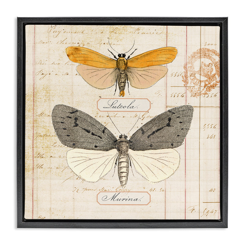  «Butterflies», art mural encadré par Susan Arnot, Noir, noir, noir, noir, H 18 po x l 18 po