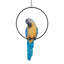 Statue de perroquet Polly au paradis-5821620