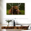 Brampt Highland Cow sur herbe-107997067