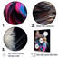 American Shorthair Harmony Cat - impressions sur toile de chat-95892697-95892700