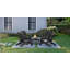 Chaise Adirondack noire en polyéthylène haute densité robuste pour la détente au bord de la piscine, du patio et du jardin