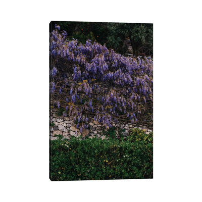 Amalfi Coast Blooms V by Bethany Young - Print on Canvas