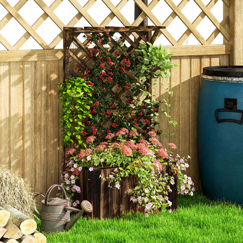 Raised Garden Bed, Carbonised