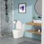 Ceramic One Piece Toilet,Single Flush With Soft Clsoing Seat