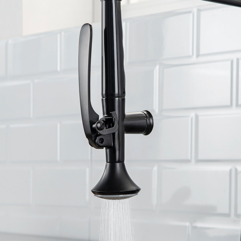 FLG Pull Down Kitchen Faucet, Black