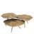 Quercus Nesting Coffee Table