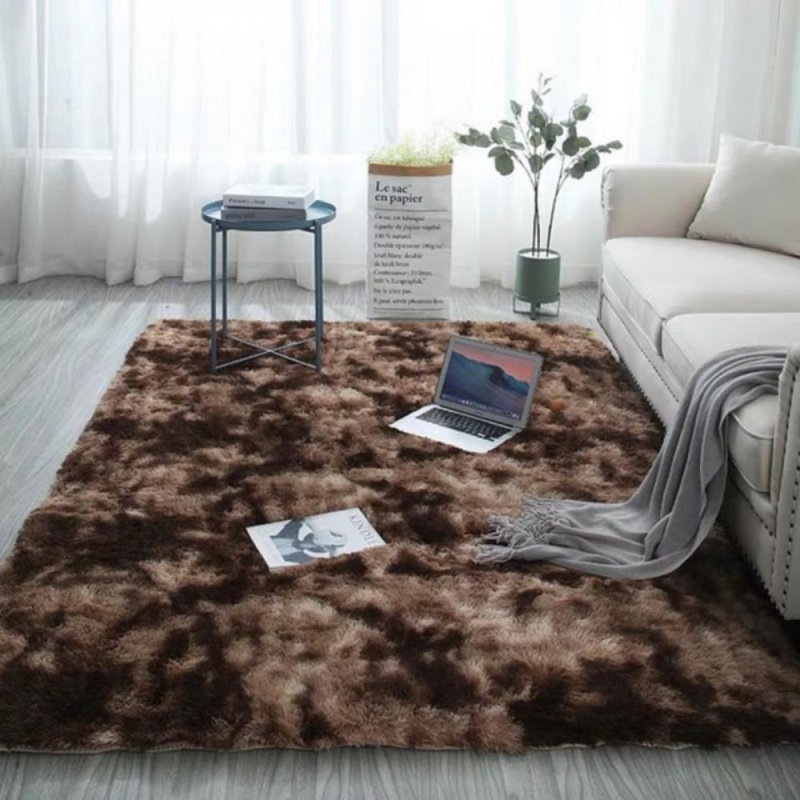 Tapis moelleux tapis anti-poils longs tapis rembourrés dégradés tapis de sol salon chambre à coucher