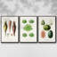 Ensemble de 3 pièces encadrées sur toile fruits et légumes VI-97795747-97795744