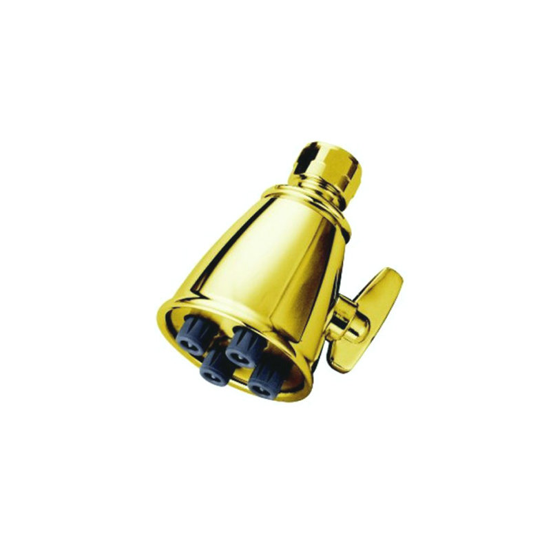 Hot Springs Jet Adjustable Shower Head, Polished Brass