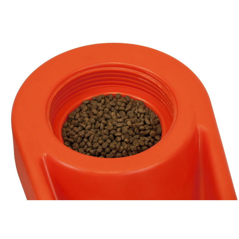 Bol / plat d'alimentation Dine N Dash, Orangé