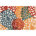 Teal/Red/Orange