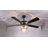 Eichen 52" Ceiling Fan with LED Lights