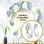 Miroir rond blanc blanc vert minimalisme Eucalyptus Essence II-97183258