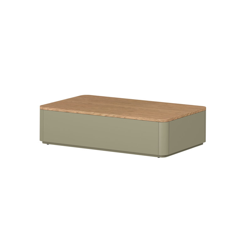 Blackett Coffee Table with Storage, Green