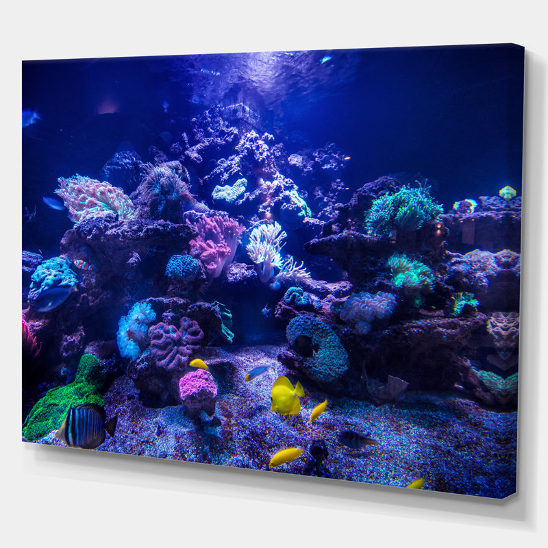 Aquarium récif, réservoir - reproduction de photo, Toile tendue, H 8 po x l 12 po x P 1 po