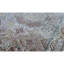 Bikaner One-of-a-Kind 2'5" X 9'11" Area Rug