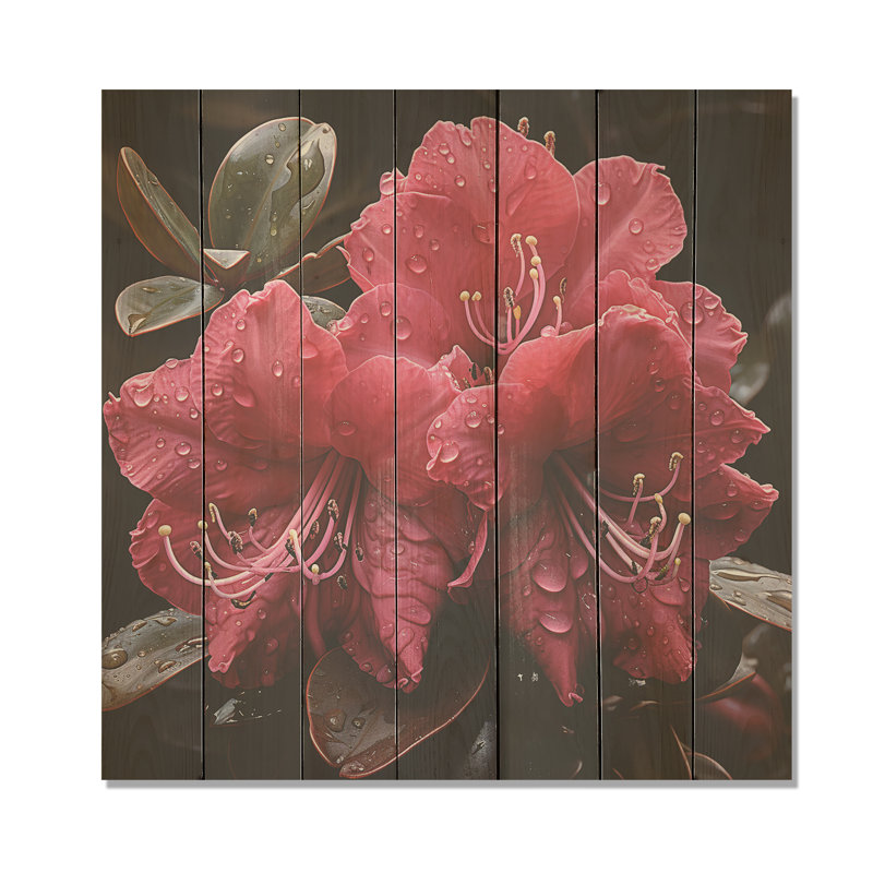 Singular Beauty of Pink Rhododendrons - Rhododendron sur bois, H 36 po x l 36 po