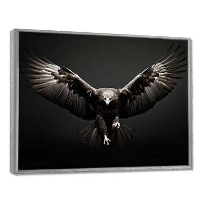 «Bold Eagle Power Hunter II», impressions encadrées