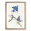 Bluebirds by John Audubon - Picture Frame Painting Print-55544288-55544292