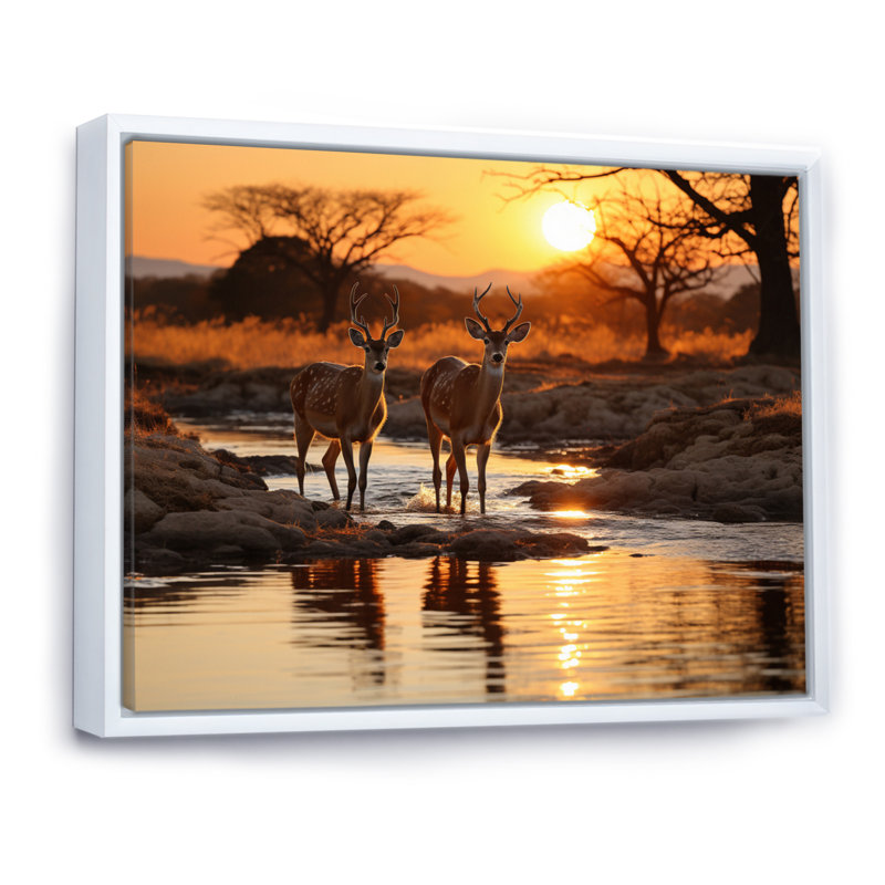 Cerf africain sur toile, Cadre flottant blanc, 30" H x 40" W