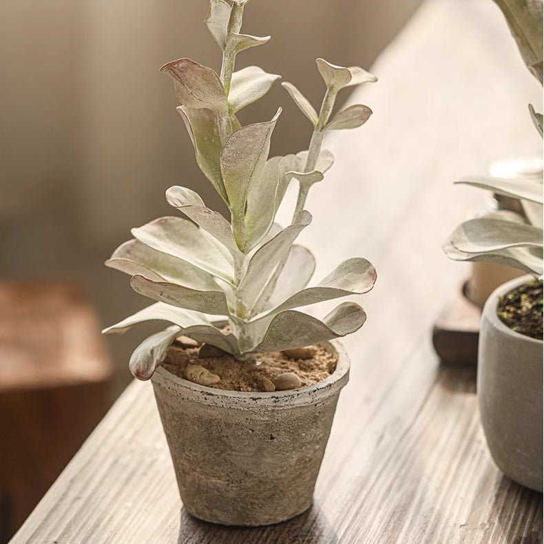 Plante verte réaliste dans un pot en céramique
