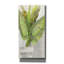 «Tropical Planter 2» par Albena Hristova, art mural sur toile-102878240
