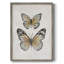 «Vintage Butterflies I», reproduction encadrée - bois massif-969434533