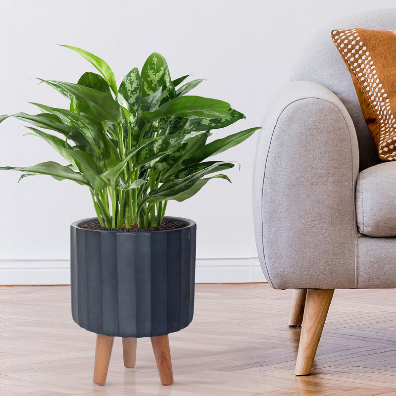 Modern Ribbed Cylinder Round Planter with Feet, Black, 32cm H x 24cm W x 24cm D