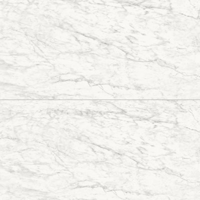 Frost 24X48 Carrara