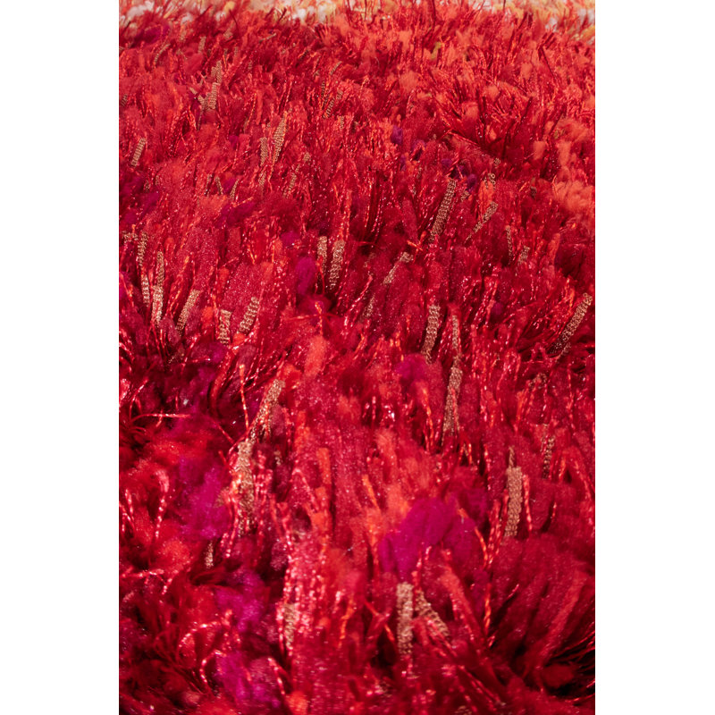 Anyhia 160cm X 230cm Area Rug