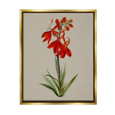 «Traditional Blossom Study Floater Frame» par Vision Studio sur toile