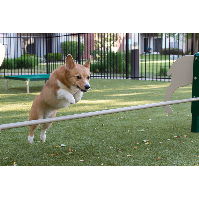 Rover Jump
