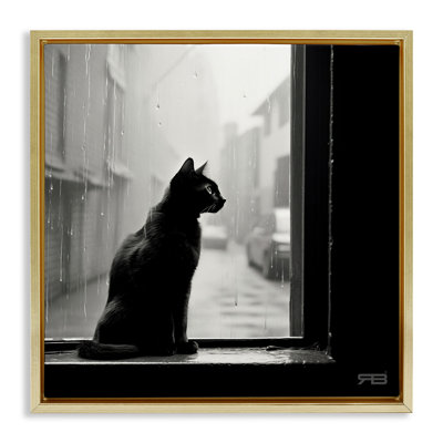 «Cat Gazing Rainy Window» par Roozbeh Bahramali