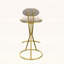 Ensemble de 2 chaises d'appoint rembourrées-1085464589