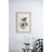 S/2 Bird Framed Print, 19.5X27.5"