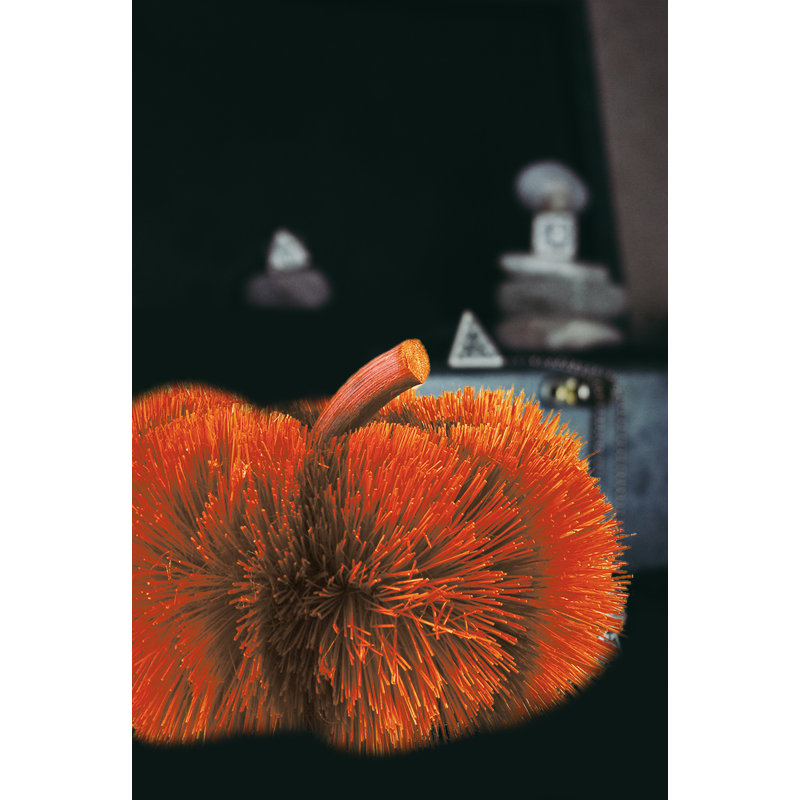 Ensemble de 2 petites citrouilles Buri