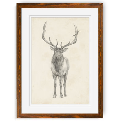 « elk study » par paul cezanne-photo-cadre, reproduction d’art