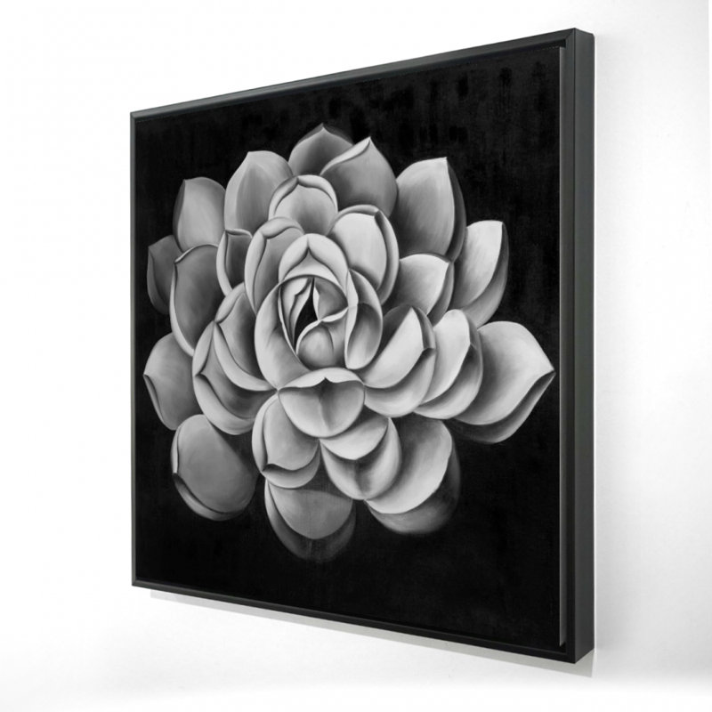 " Black And White Succulent "