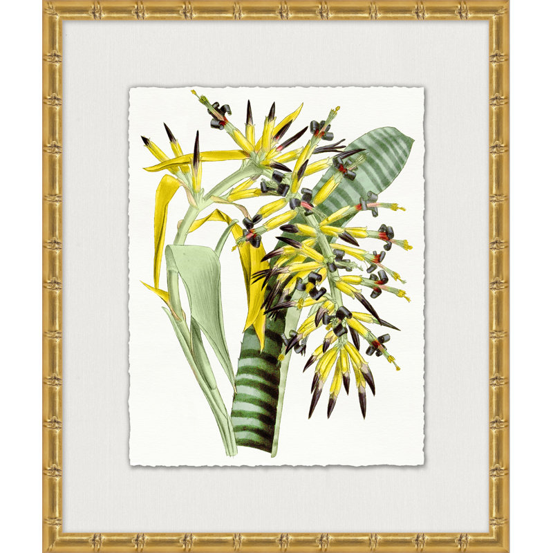 Sunny Botany 6 Painting