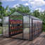 Serre robuste avec deux fenêtres de ventilation et une base stable avec portes doubles l 103,45 po pour l'entretien du jardin-126422950