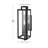 Messmer Outdoor Wall sconce in Black